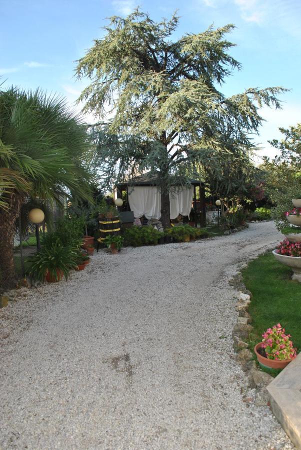 Villino Alle Terme Viterbo Exteriér fotografie