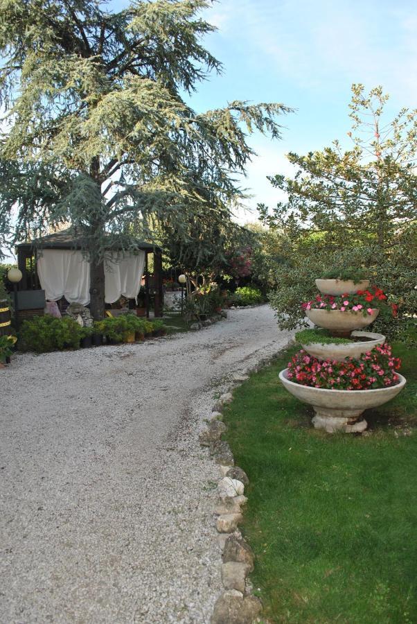Villino Alle Terme Viterbo Exteriér fotografie
